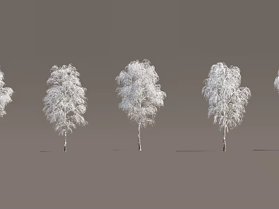 Snow Covered Trees With Slender Trunks And Snow Laden Branches Against Gray Background 3d model