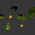 Plants With Large Green Leaves And Small Yellow Flowers On Green Stems