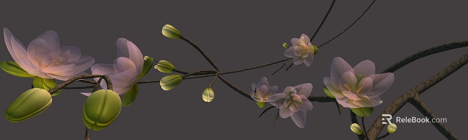 Delicate Pink Blossoms With Green Buds On Branch Against Gray Background 3d model 