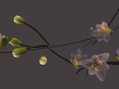 Delicate Pink Blossoms With Green Buds On Branch Against Gray Background 3d model