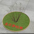 Withered Dragon Claw Grass Growing on Circular Green Lawn with Gray Stone Pavement