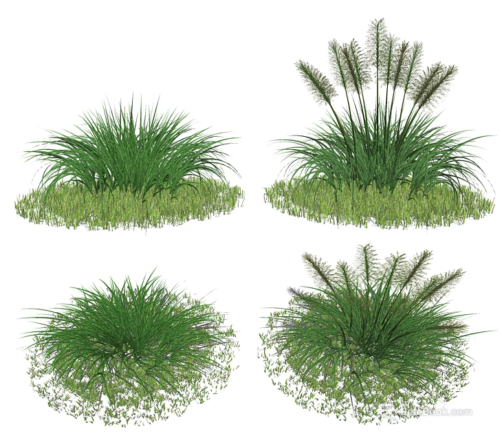 Various Green Shrubs With Lush Foliage For Garden Landscaping Design 3d model 