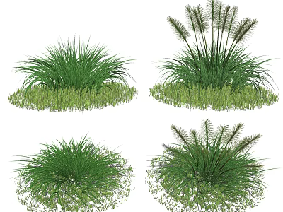 Various Green Shrubs With Lush Foliage For Garden Landscaping Design 3d model