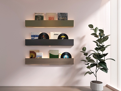 Magazines, Books, Records, Bookshelves model