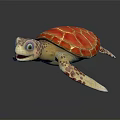 Modern Fish Little Turtle Green Turtle Big Turtle Black Turtle 3d model