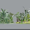 Ground Cover Plants With Lush Green Foliage And Diverse Species For Garden Landscape Design