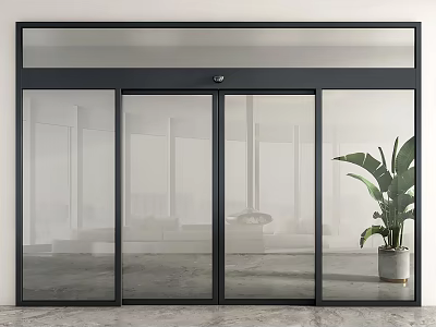 Modern Glass Automatic Entrance Door With Interior View And Plant 3d model