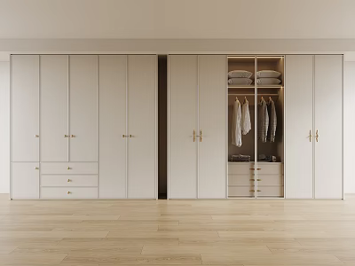 Modern White Wardrobe Interior Design With Open Hanging Area And Drawers On Wooden Floor 3d model