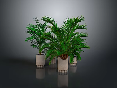 Potted Green Plants With Striped Light Colored Pots On Gray Floor Background 3d model