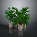 Potted Green Plants With Striped Light Colored Pots On Gray Floor Background
