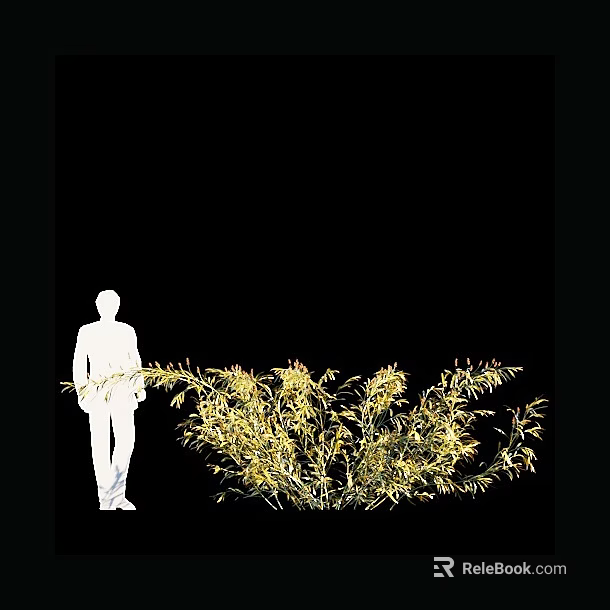 Lush Green Shrubs Beside White Human Silhouette On Black Backdrop 3d model 