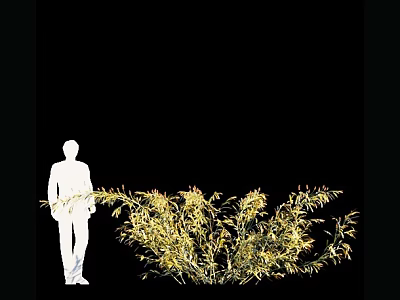 Lush Green Shrubs Beside White Human Silhouette On Black Backdrop 3d model