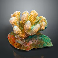 Vibrant Aquatic Animal Coral Colony With Yellow Green And Red Colors