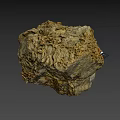 Natural Rock Sample With Fossilized Structures And 1cm Scale Measurement 3d model