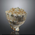 Conch Shell Featuring Spiral Orange White Pattern And Natural Texture On Dark Background 3d model