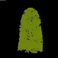 Lush Green Tree With Dense Foliage And Man Silhouette Walking Beside Under Cloudy Sky