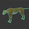 Realistic Cheetah With Yellow Black Spots Fur Standing On Dark Surface With Reflection