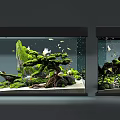 Aquarium Tank Natural Landscape with Green Plants Moss Covered Rocks and Colorful Fish