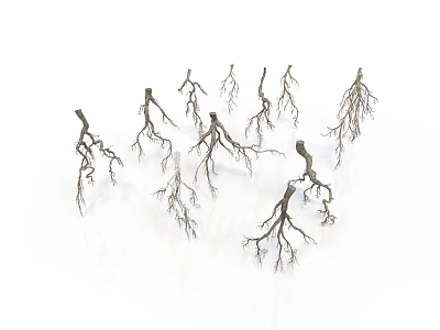 Detailed View of Natural Tree Roots with Intricate Branching Network Structures 3d model
