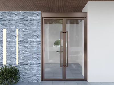 Modern Double Glass Hinged Door With Bronze Metal Frame For Home Exterior Stone Wall 3d model