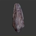 Purple Pink Dinosaur Fossil Bone Exhibiting Cracked Surface Texture Details