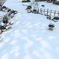 Snow scenery sketch snow scenery tree snow scenery shrub snow scenery plant snow scenery 3d model