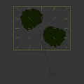 Two Lush Green Trees with Dense Foliage and Dark Trunks Isolated on Black Background