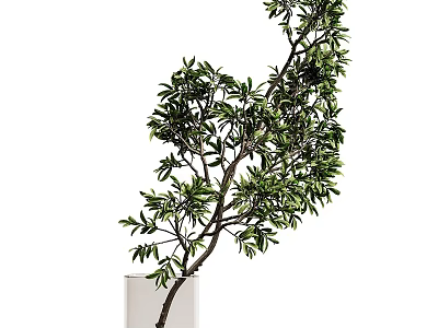 Elegant Decorative Ornament Set With White Vase And Lush Green Leafy Plant 3d model