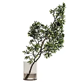 Elegant Decorative Ornament Set With White Vase And Lush Green Leafy Plant