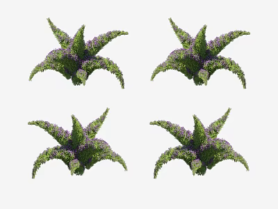 Vibrant Green Shrubs With Lush Leaves And Purple Flowers In Clustered Growth Form 3d model