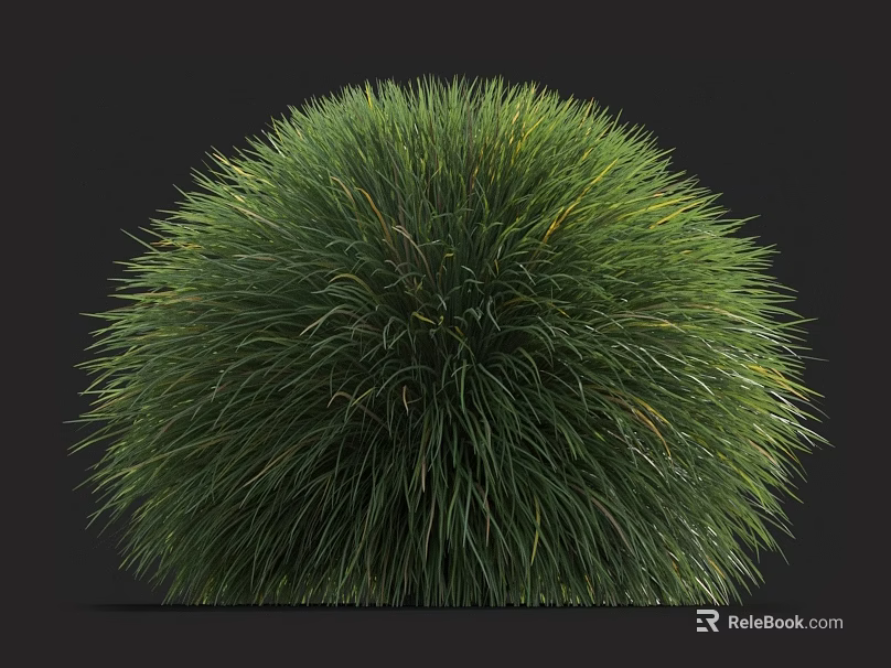 Lush Green Round Grass Bush With Dense Foliage For Garden Landscaping Decoration 3d model 