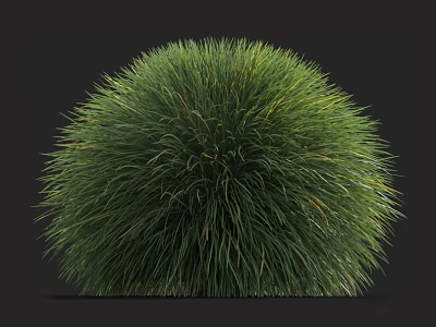 Lush Green Round Grass Bush With Dense Foliage For Garden Landscaping Decoration 3d model