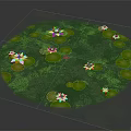 Frogs Resting On Green Lily Pads In Pond With White Lotus Flowers