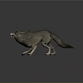 Standing Wolf With Fluffy Fur Open Mouth And Exposed Teeth On Dark Surface
