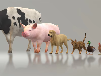 Various Reptiles Including Lizards Snakes And Tortoises In Natural Habitat Setup 3d model