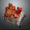 Red Coral Mushrooms With Flower Shaped Structure On Natural Stone Base