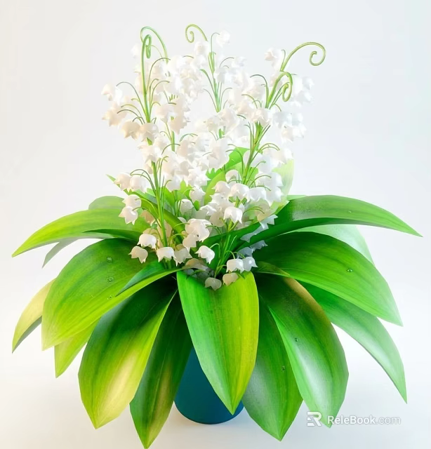 Potted Lily of the Valley With White Flowers And Green Leaves 3d model 
