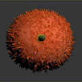 Vibrant Red Spiky Tropical Fruit With Fresh Glossy Surface And Green Stem
