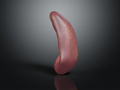 3D Rendered Organ in Pink Color with Irregular Shape on Dark Background 3d model