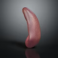 3D Rendered Organ in Pink Color with Irregular Shape on Dark Background