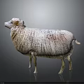 White Sheep With Fluffy Wool Standing On Simple Gray Background 3d model