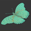Vibrant Orange Butterfly With Black Spots And Spread Wings On Dark Background