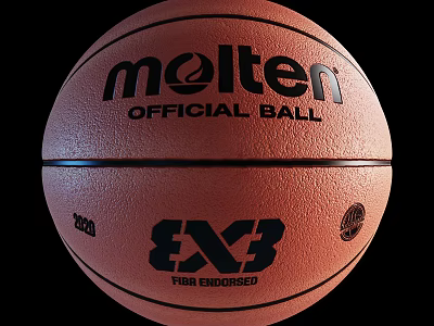 Molten Professional High Quality Official Basketball FIBA Endorsed Sports Equipment 3d model