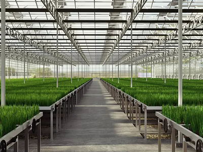 Greenhouse Interior Featuring Glass Roof Metal Frames And Rows Of Green Plants 3d model