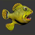 Aquatic Animal Yellow Striped Fish With Large Eyes Open Mouth And Sharp Teeth