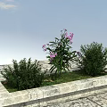 Vibrant Purple Flowers And Lush Green Shrubs In Stone Planter With Blue Sky