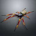 Unique Spider With White Body Skull Pattern And Red Yellow Striped Legs On Black Background