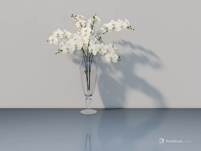 Transparent Glass Vase With White Orchid Flowers On Blue Surface And Grey Wall 3d model 