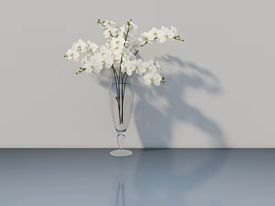 Transparent Glass Vase With White Orchid Flowers On Blue Surface And Grey Wall 3d model