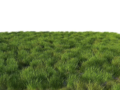 Lush Green Grass Field With Vibrant Natural Meadow Landscape And Fresh Vegetation 3d model